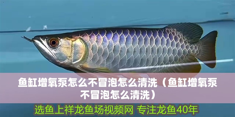 魚缸增氧泵怎么不冒泡怎么清洗（魚缸增氧泵不冒泡怎么清洗）