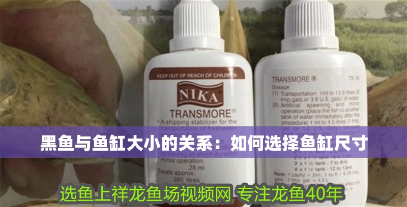 魚缸用增氧泵價格是多少:魚缸增氧機-xtrac增氧機-xtrac增氧機 黑魚與魚缸大小的關系:如何選擇魚缸尺寸 魚缸百科 黑魚與魚缸大小的關系:如何選擇魚缸尺寸 黑魚與魚缸大小的關系:如何選擇魚缸尺寸 魚缸百科