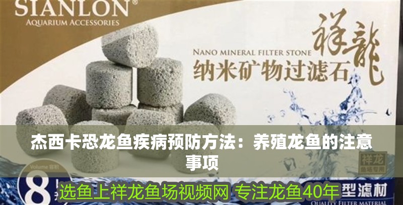 杰西卡恐龍魚疾病預防方法：養殖龍魚的注意事項