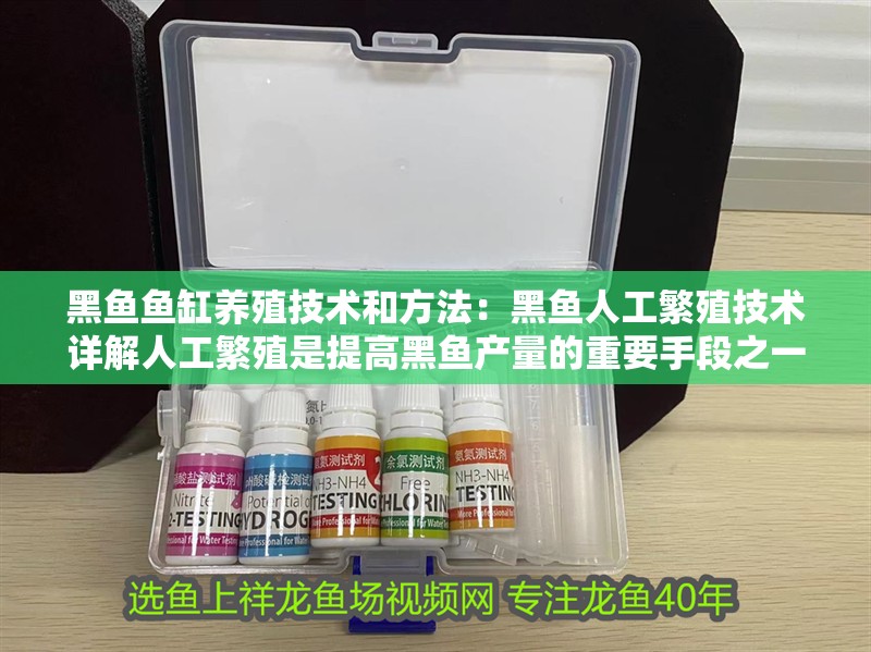 黑魚魚缸養殖技術和方法：黑魚人工繁殖技術詳解人工繁殖是提高黑魚產量的重要手段之一