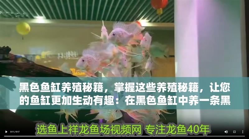 黑色魚缸養(yǎng)殖秘籍，掌握這些養(yǎng)殖秘籍，讓您的魚缸更加生動有趣：在黑色魚缸中養(yǎng)一條黑魚為佳，掌握這些養(yǎng)殖秘籍，穩(wěn)定財運 黑色魚缸養(yǎng)殖秘籍，掌握這些養(yǎng)殖秘籍，讓您的魚缸更加生動有趣：在黑色魚缸中養(yǎng)一條黑魚為佳，掌握這些養(yǎng)殖秘籍，穩(wěn)定財運 魚缸百科