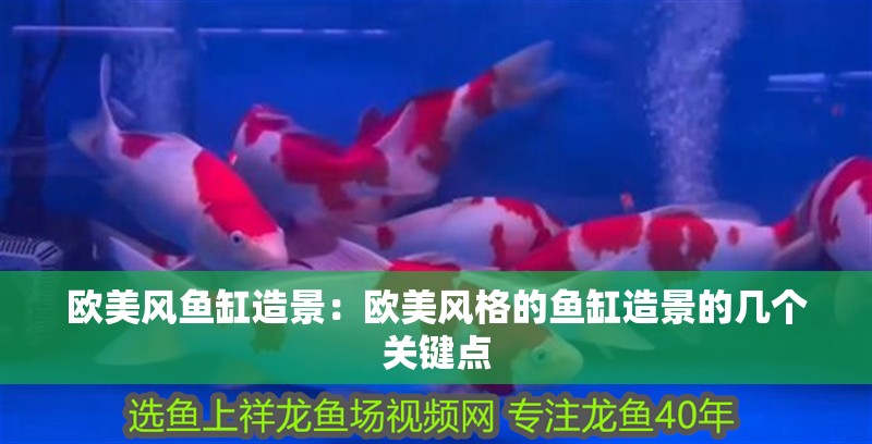歐美風(fēng)魚(yú)缸造景：歐美風(fēng)格的魚(yú)缸造景的幾個(gè)關(guān)鍵點(diǎn) 歐美風(fēng)魚(yú)缸造景：歐美風(fēng)格的魚(yú)缸造景的幾個(gè)關(guān)鍵點(diǎn) 魚(yú)缸百科