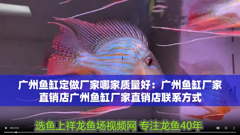 廣州魚缸定做廠家哪家質量好：廣州魚缸廠家直銷店廣州魚缸廠家直銷店聯系方式