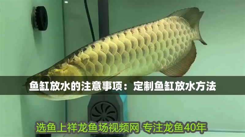 魚缸放水的注意事項：定制魚缸放水方法
