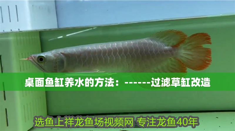 桌面魚缸養水的方法：------過濾草缸改造 桌面魚缸養水的方法：------過濾草缸改造 魚缸百科