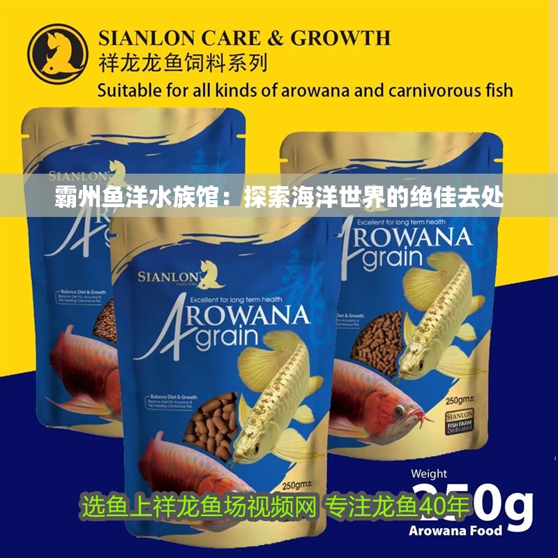 霸州魚洋水族館：探索海洋世界的絕佳去處