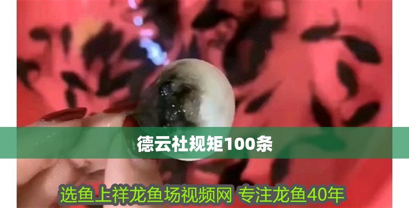 德云社規(guī)矩100條