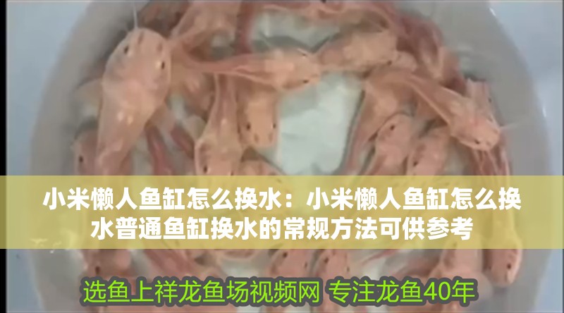小米懶人魚缸怎么換水：小米懶人魚缸怎么換水普通魚缸換水的常規方法可供參考