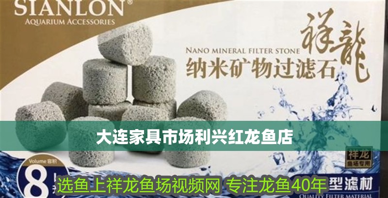大連家具市場利興紅龍魚店