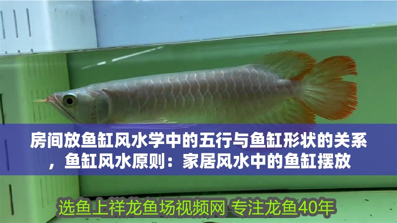 房間放魚缸風(fēng)水學(xué)中的五行與魚缸形狀的關(guān)系，魚缸風(fēng)水原則：家居風(fēng)水中的魚缸擺放