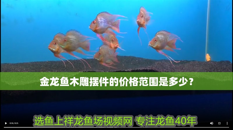金龍魚木雕擺件的價格范圍是多少？