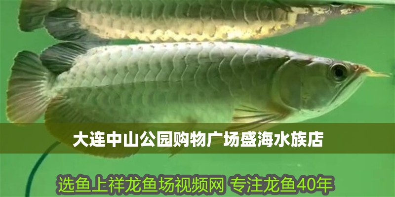 大連中山公園購物廣場(chǎng)盛海水族店