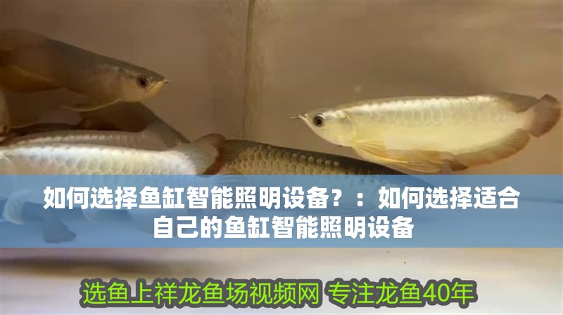 如何選擇魚缸智能照明設備？：如何選擇適合自己的魚缸智能照明設備