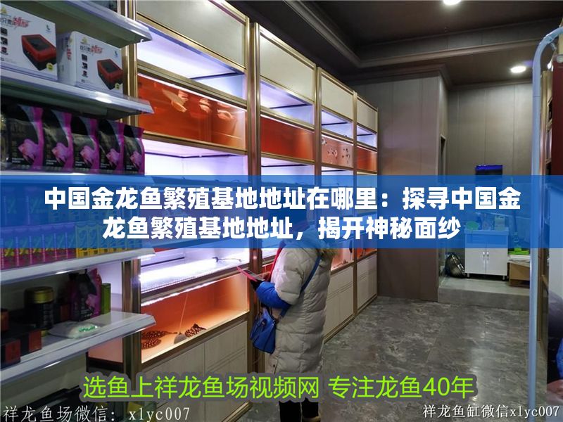 中國金龍魚繁殖基地地址在哪里：探尋中國金龍魚繁殖基地地址，揭開神秘面紗
