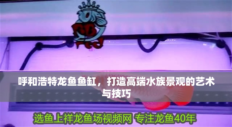 呼和浩特龍魚魚缸，打造高端水族景觀的藝術(shù)與技巧