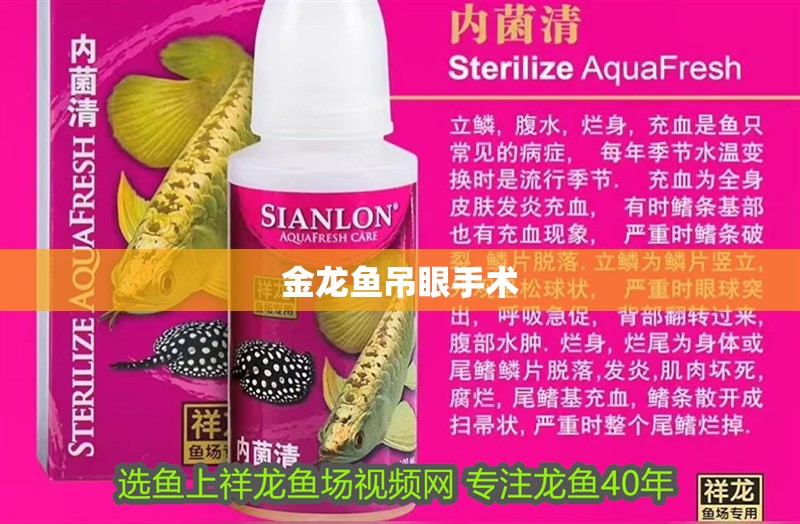 金龍魚吊眼手術(shù)