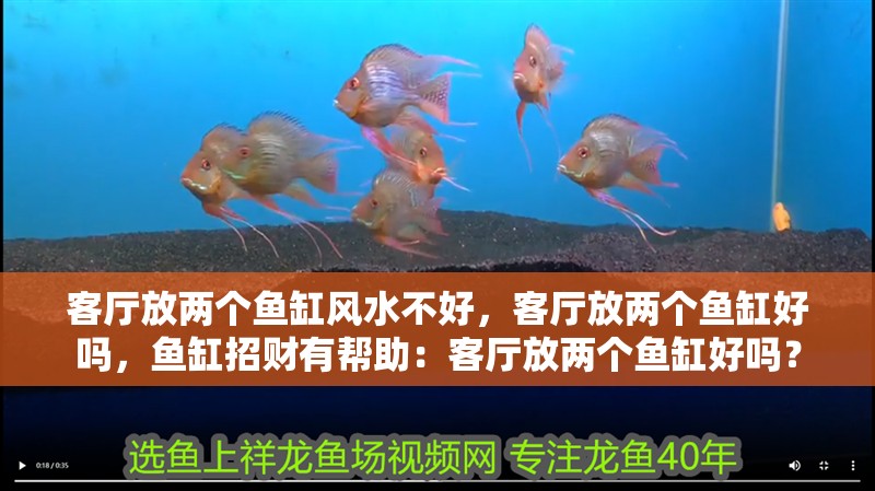 客廳放兩個魚缸風水不好，客廳放兩個魚缸好嗎，魚缸招財有幫助：客廳放兩個魚缸好嗎？