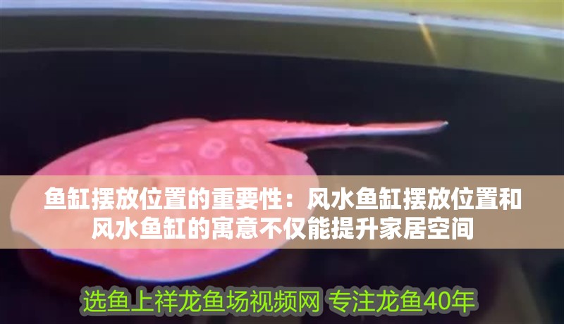 魚缸擺放位置的重要性：風水魚缸擺放位置和風水魚缸的寓意不僅能提升家居空間