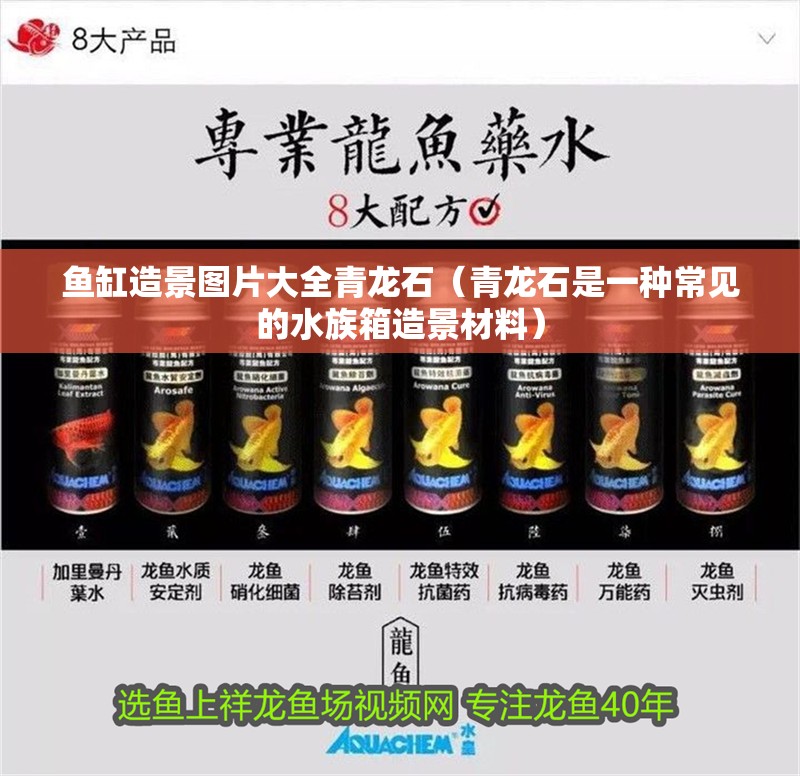 魚缸過濾器選購(gòu)指南:自制魚缸過濾器魚缸上置過濾器對(duì)于養(yǎng)魚愛好者的必備知識(shí) 魚缸造景圖片大全青龍石(青龍石是一種常見的水族箱造景材料) 魚缸百科 魚缸造景圖片大全青龍石(青龍石是一種常見的水族箱造景材料) 魚缸造景圖片大全青龍石(青龍石是一種常見的水族箱造景材料) 魚缸百科