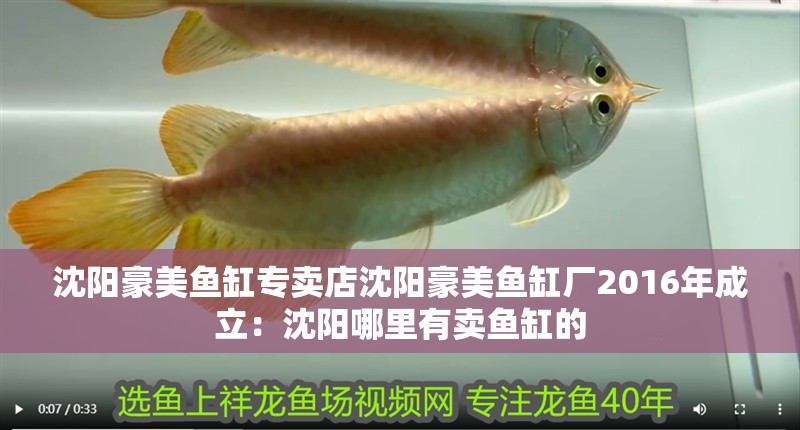 沈陽豪美魚缸專賣店沈陽豪美魚缸廠2016年成立：沈陽哪里有賣魚缸的