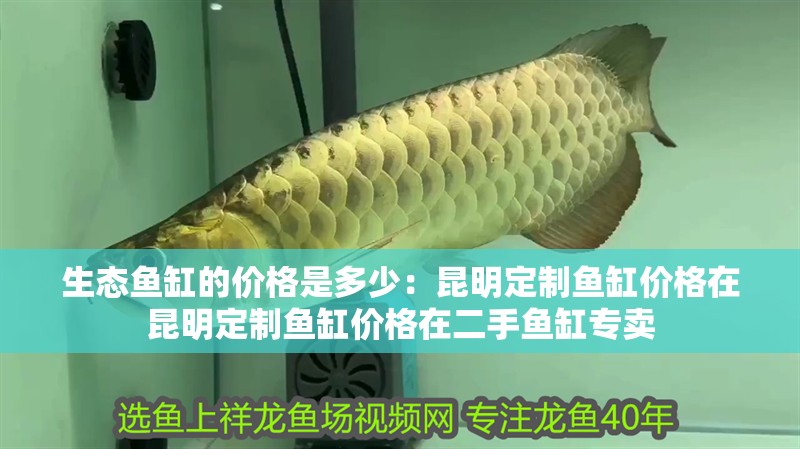 生態魚缸的價格是多少：昆明定制魚缸價格在昆明定制魚缸價格在二手魚缸專賣