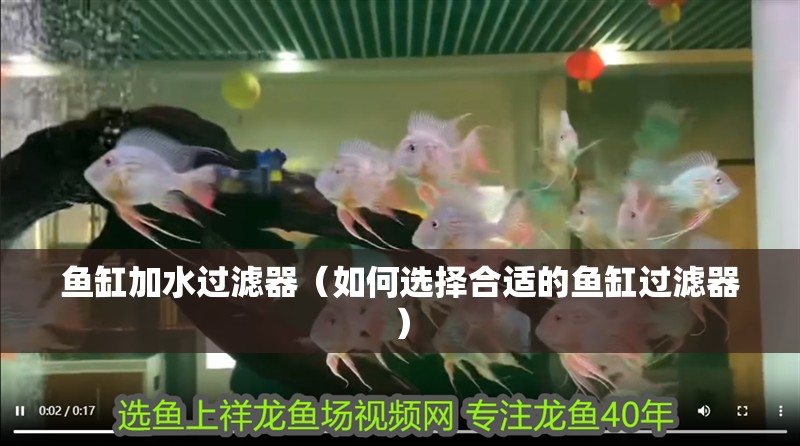 魚缸加水過濾器（如何選擇合適的魚缸過濾器） 魚缸加水過濾器（如何選擇合適的魚缸過濾器） 龍魚百科