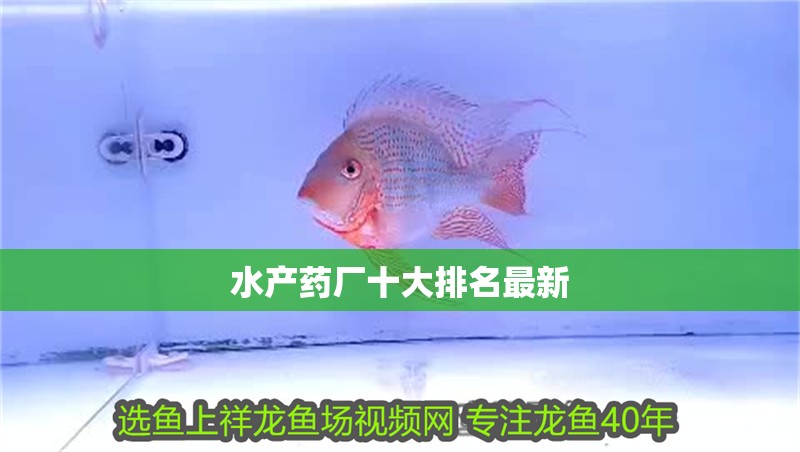 水產(chǎn)藥廠十大排名最新