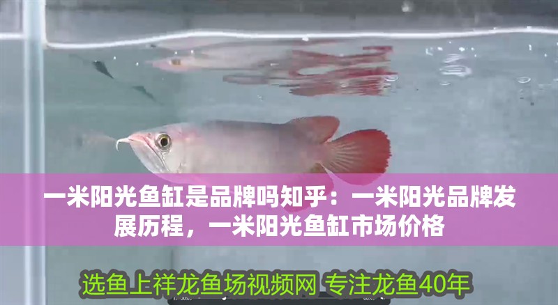 一米陽光魚缸是品牌嗎知乎：一米陽光品牌發展歷程，一米陽光魚缸市場價格