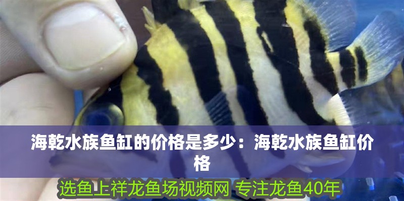 詳細(xì)閱讀:海乾水族魚缸的價(jià)格是多少:海乾水族魚缸價(jià)格 海乾水族魚缸的價(jià)格是多少:海乾水族魚缸價(jià)格