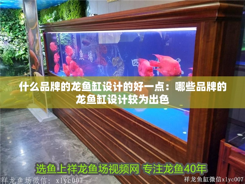 什么品牌的龍魚缸設計的好一點：哪些品牌的龍魚缸設計較為出色