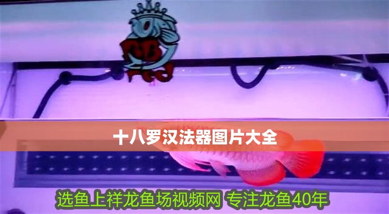 十八羅漢法器圖片大全