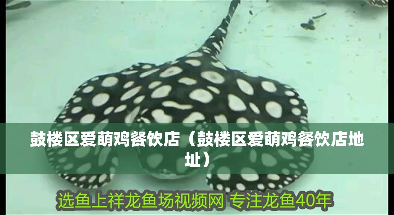 鼓樓區愛萌雞餐飲店（鼓樓區愛萌雞餐飲店地址）