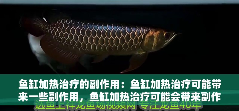 魚缸加熱治療的副作用：魚缸加熱治療可能帶來一些副作用，魚缸加熱治療可能會帶來副作用