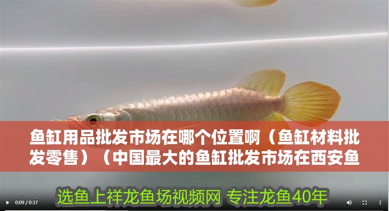 魚缸用品批發市場在哪個位置啊（魚缸材料批發零售）（中國最大的魚缸批發市場在西安魚缸批發市場在哪個位置）