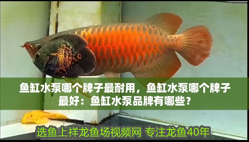 魚缸水泵哪個牌子最耐用，魚缸水泵哪個牌子最好：魚缸水泵品牌有哪些？