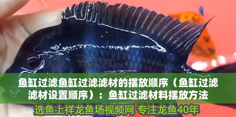 魚缸過濾魚缸過濾濾材的擺放順序（魚缸過濾濾材設置順序）：魚缸過濾材料擺放方法