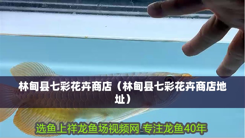 林甸縣七彩花卉商店（林甸縣七彩花卉商店地址）