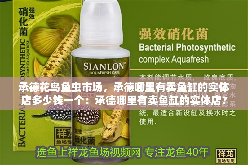 承德花鳥魚蟲市場，承德哪里有賣魚缸的實體店多少錢一個：承德哪里有賣魚缸的實體店？