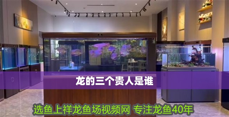 龍的三個貴人是誰