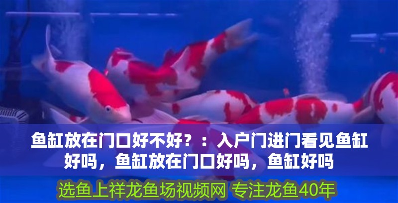魚缸放在門口好不好？：入戶門進門看見魚缸好嗎，魚缸放在門口好嗎，魚缸好嗎
