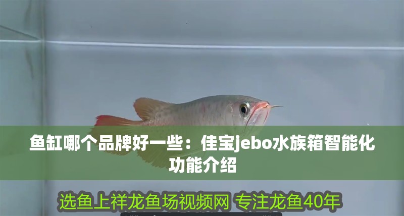 魚缸哪個品牌好一些：佳寶jebo水族箱智能化功能介紹