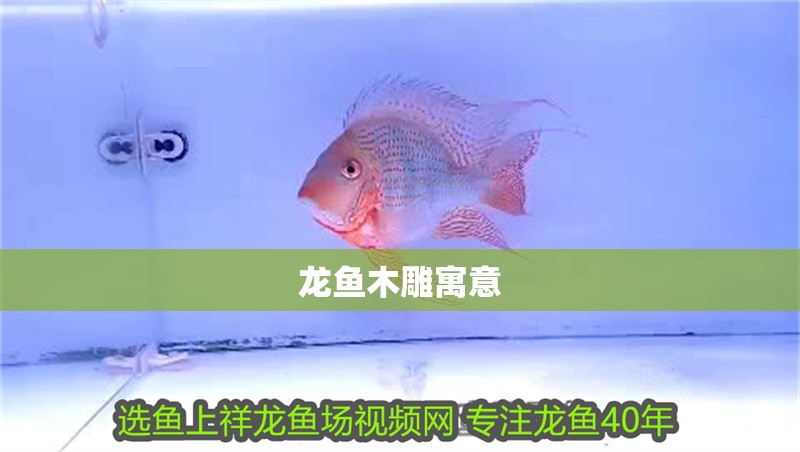 龍魚木雕寓意