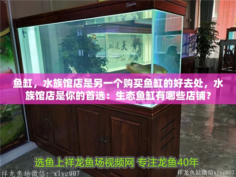 魚缸，水族館店是另一個購買魚缸的好去處，水族館店是你的首選：生態魚缸有哪些店鋪？