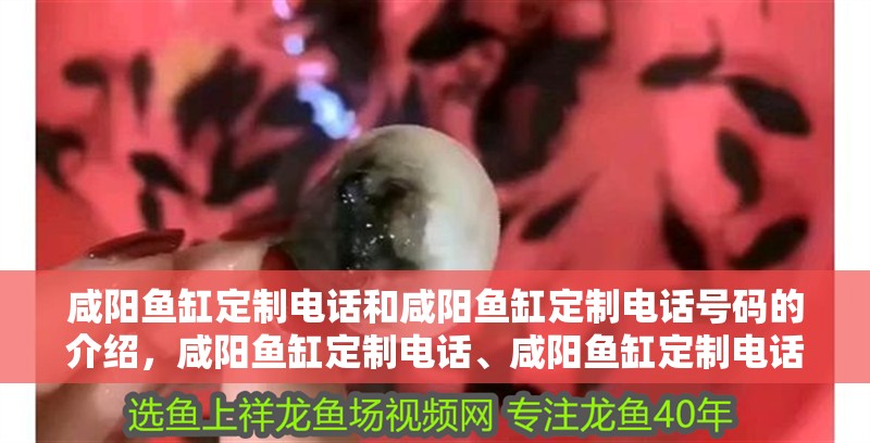 咸陽魚缸定制電話和咸陽魚缸定制電話號碼的介紹，咸陽魚缸定制電話、咸陽魚缸定制電話號碼