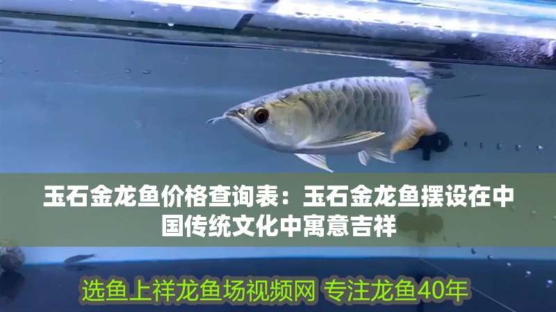 玉石金龍魚價(jià)格查詢表：玉石金龍魚擺設(shè)在中國傳統(tǒng)文化中寓意吉祥