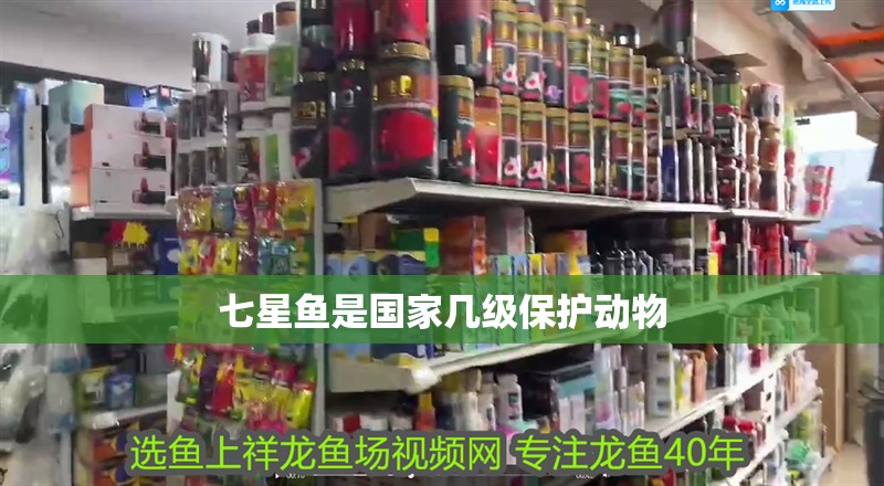 七星魚是國(guó)家?guī)准?jí)保護(hù)動(dòng)物