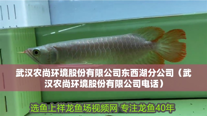 武漢農尚環境股份有限公司東西湖分公司（武漢農尚環境股份有限公司電話）