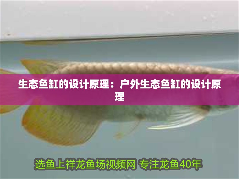 生態魚缸的設計原理：戶外生態魚缸的設計原理