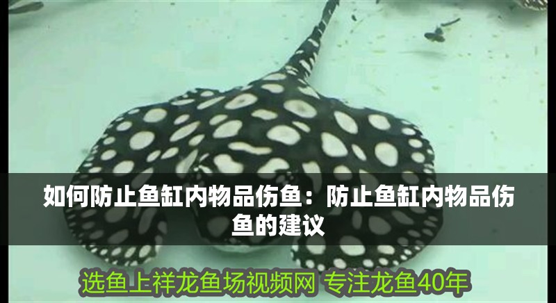如何防止魚缸內物品傷魚：防止魚缸內物品傷魚的建議