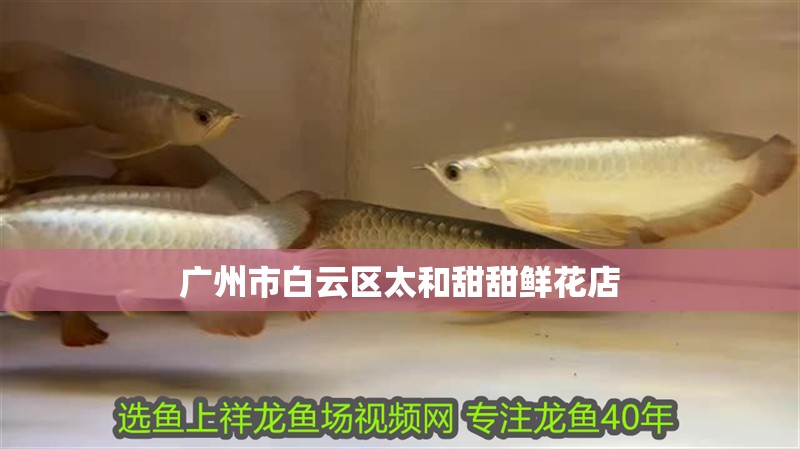 廣州市白云區太和甜甜鮮花店